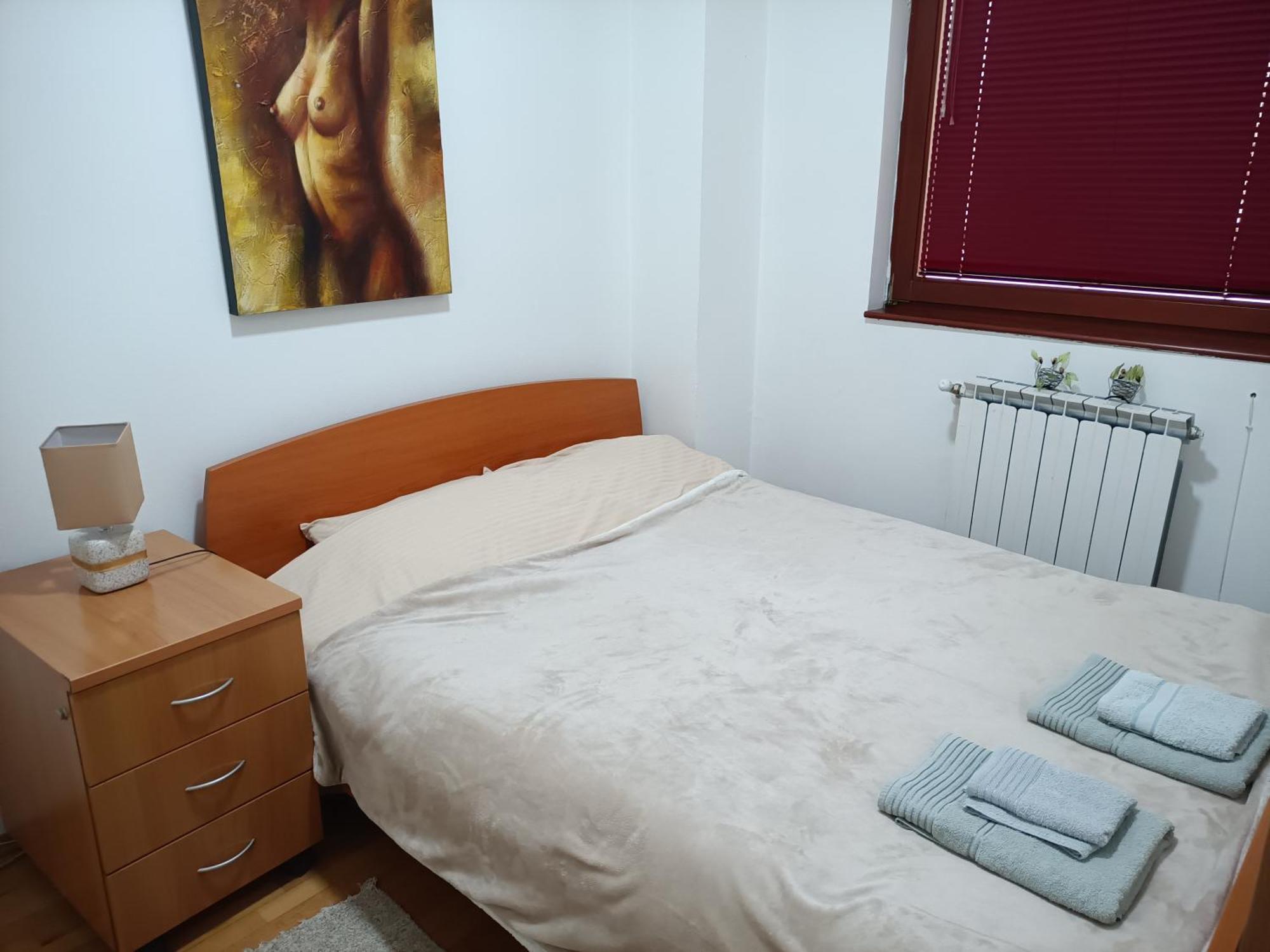 Centar Apartment Aleks Skopje Eksteriør billede